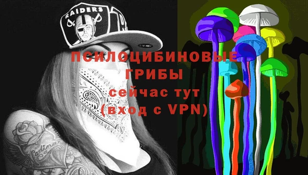 кристаллы Бородино