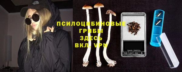 кристаллы Бородино